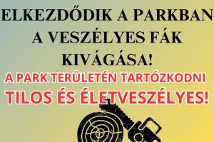 Veszélyes Fák Kivágása